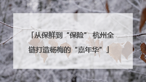 从保鲜到“保险” 杭州全链打造杨梅的“嘉年华”