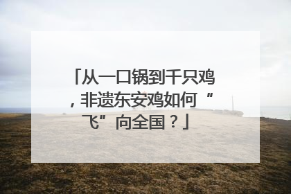 从一口锅到千只鸡，非遗东安鸡如何“飞”向全国？