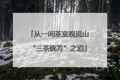 从一间茶室观岚山“三茶统筹”之道