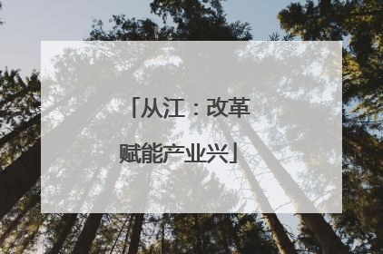 从江：改革赋能产业兴