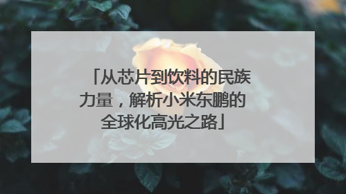 从芯片到饮料的民族力量，解析小米东鹏的全球化高光之路