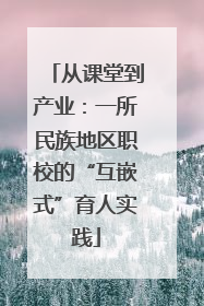从课堂到产业：一所民族地区职校的“互嵌式”育人实践