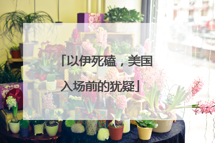 以伊死磕，美国入场前的犹疑