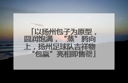 以扬州包子为原型，圆润饱满，“蒸”腾向上，扬州足球队吉祥物“包赢”亮相即售罄