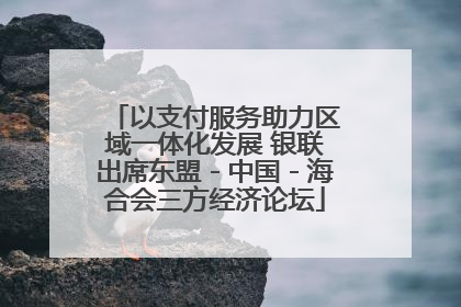 以支付服务助力区域一体化发展 银联出席东盟－中国－海合会三方经济论坛