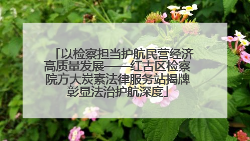 以检察担当护航民营经济高质量发展——红古区检察院方大炭素法律服务站揭牌彰显法治护航深度