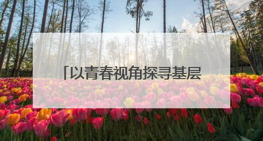 以青春视角探寻基层治理密码，“长三角大学生看浙江”暑期实践调研活动侧记