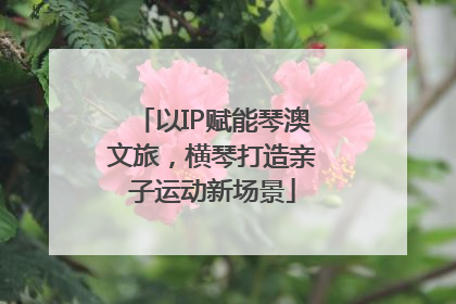 以IP赋能琴澳文旅，横琴打造亲子运动新场景