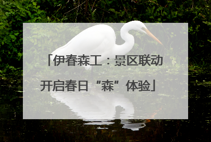 伊春森工：景区联动开启春日“森”体验