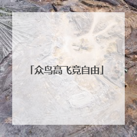 众鸟高飞竞自由