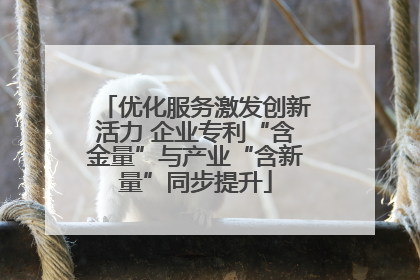 优化服务激发创新活力 企业专利“含金量”与产业“含新量”同步提升