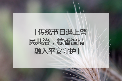 传统节日遇上警民共治，粽香温情融入平安守护
