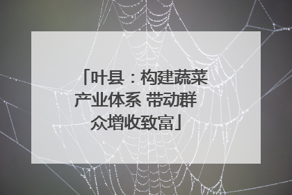 叶县：构建蔬菜产业体系 带动群众增收致富