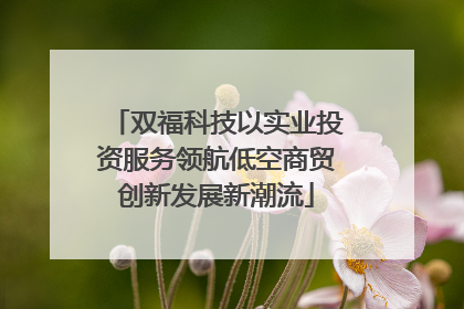 双福科技以实业投资服务领航低空商贸创新发展新潮流