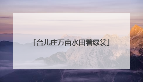 台儿庄万亩水田着绿裳