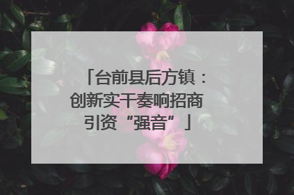 台前县后方镇：创新实干奏响招商引资“强音”