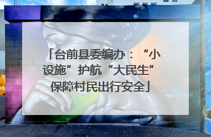 台前县委编办：“小设施”护航“大民生” 保障村民出行安全