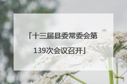 十三届县委常委会第139次会议召开