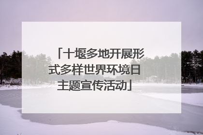 十堰多地开展形式多样世界环境日主题宣传活动