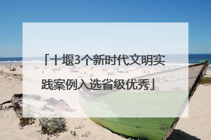 十堰3个新时代文明实践案例入选省级优秀