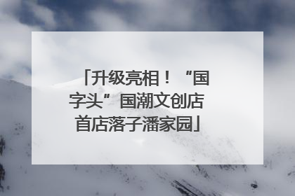升级亮相！“国字头”国潮文创店首店落子潘家园
