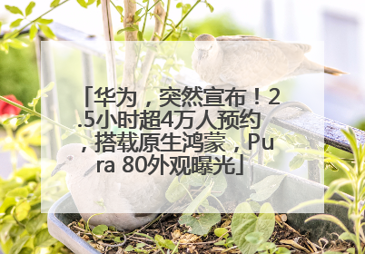 华为，突然宣布！2.5小时超4万人预约，搭载原生鸿蒙，Pura 80外观曝光