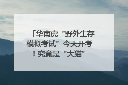 华南虎“野外生存模拟考试”今天开考！究竟是“大猫” 还是顶级猎食者？
