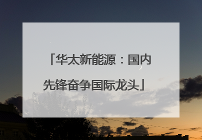 华太新能源：国内先锋奋争国际龙头
