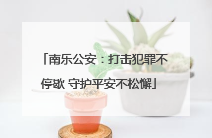 南乐公安：打击犯罪不停歇 守护平安不松懈