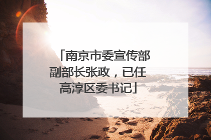 南京市委宣传部副部长张政，已任高淳区委书记
