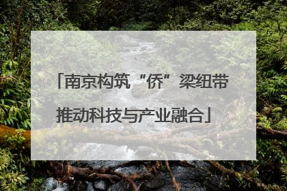 南京构筑“侨”梁纽带推动科技与产业融合