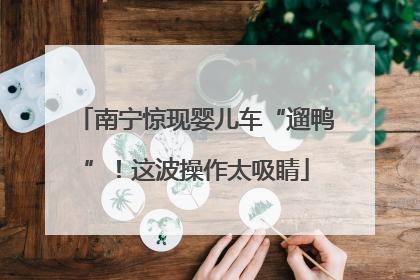 南宁惊现婴儿车“遛鸭”！这波操作太吸睛
