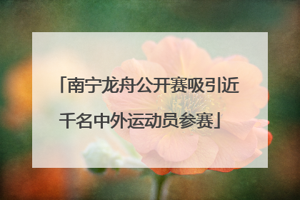 南宁龙舟公开赛吸引近千名中外运动员参赛