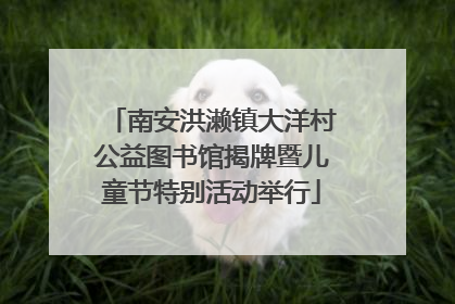 南安洪濑镇大洋村公益图书馆揭牌暨儿童节特别活动举行