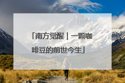 南方觉醒｜一颗咖啡豆的前世今生
