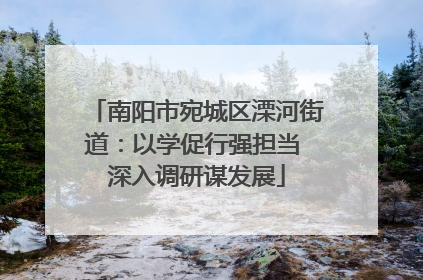 南阳市宛城区溧河街道：以学促行强担当 深入调研谋发展