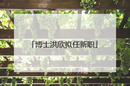 博士洪欣拟任新职