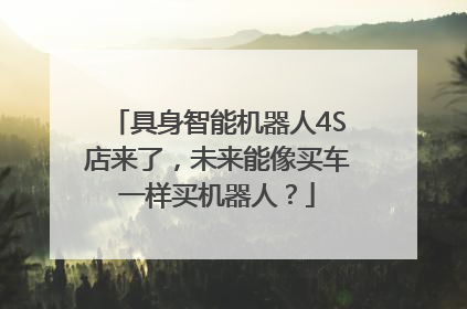 具身智能机器人4S店来了，未来能像买车一样买机器人？