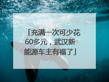 充满一次可少花60多元，武汉新能源车主有福了