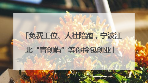 免费工位、人社陪跑，宁波江北“青创屿”等你拎包创业