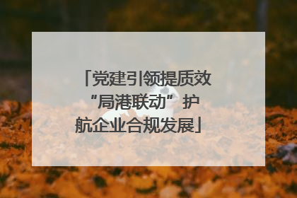 党建引领提质效 “局港联动”护航企业合规发展