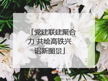 党建联建聚合力 共绘高铁兴诏新图景