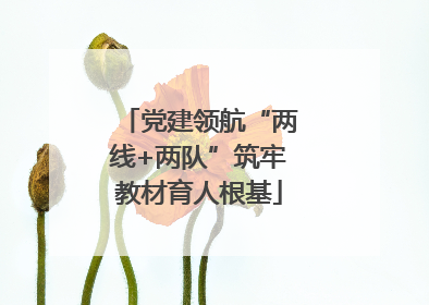 党建领航“两线+两队”筑牢教材育人根基