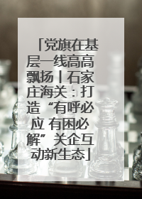 党旗在基层一线高高飘扬丨石家庄海关：打造“有呼必应 有困必解”关企互动新生态