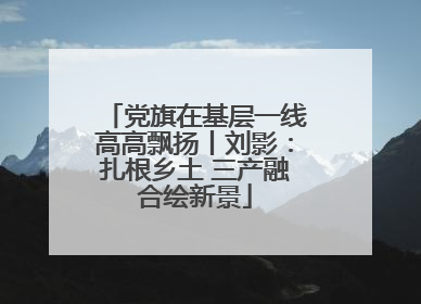 党旗在基层一线高高飘扬丨刘影：扎根乡土 三产融合绘新景