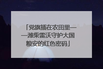 党旗插在农田里——潍柴雷沃守护大国粮安的红色密码