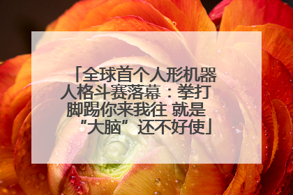 全球首个人形机器人格斗赛落幕：拳打脚踢你来我往 就是“大脑”还不好使