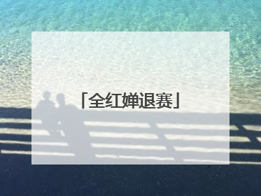 全红婵退赛