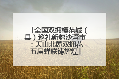 全国双拥模范城（县）巡礼新疆沙湾市：天山北麓双拥花 五届蝉联铸辉煌