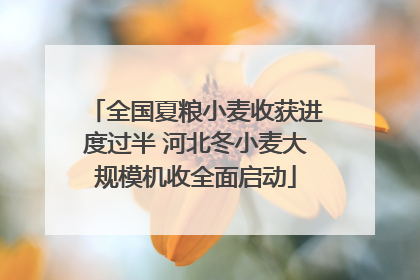 全国夏粮小麦收获进度过半 河北冬小麦大规模机收全面启动